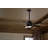 Bhram 48'' Ceiling Fan with LED Lights-82941949