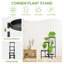 Plant Stand - Set of 6