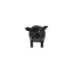 Vardie Pig Paper Towel Holder 