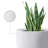 Karola Pot Planter-1208953843-1208953845