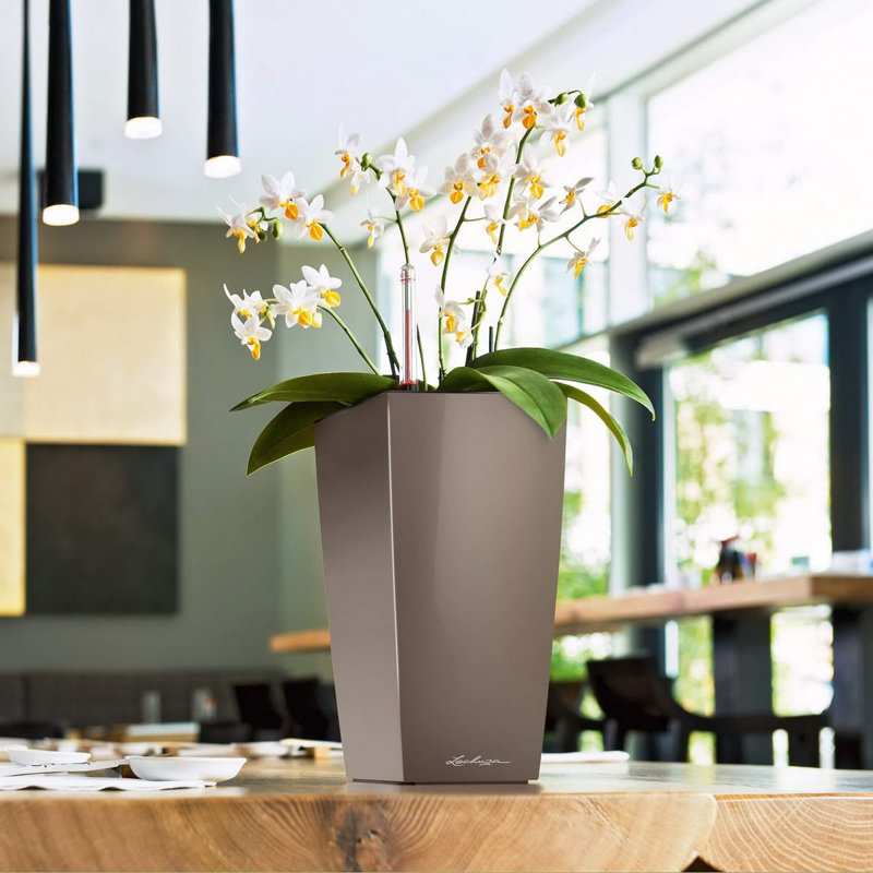 Mini pot à fleurs carré Mini-Cubi avec indicateur de niveau d'eau pour l'intérieur, gris anthracite métallique, Anthracite