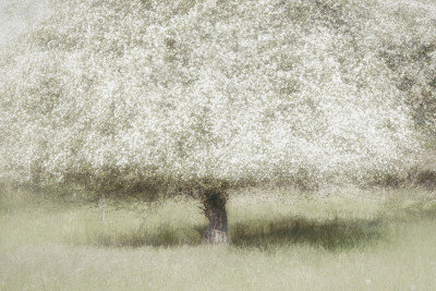 Wrapped Canvas Print, 60.96 cm H x 91.44 cm W