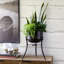 Portal Iron Planter