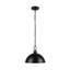 Luminaire suspendu noir mat 1 lumière
