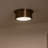 Zhazira Flush Mount-480086064