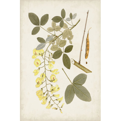 Vintage Flowering Trees VII - Art Print