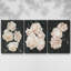 «Nighttime Flora I», ensemble de 3 toiles encadrées-97710544-97710545