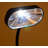 Vanesa LED Wall Light
