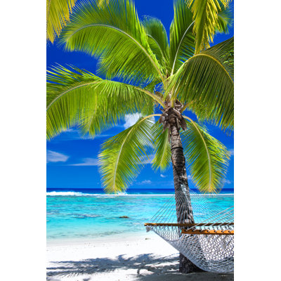 Palmier sur la plage - Photographie sur toile tendue
