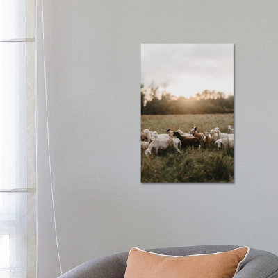 «Sheep Herd at Sunset» par Chelsea Victoria - photographie sur toile tendue