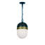 Capsule Brian Patrick Flynn 2-Light Outdoor Pendant-41271448