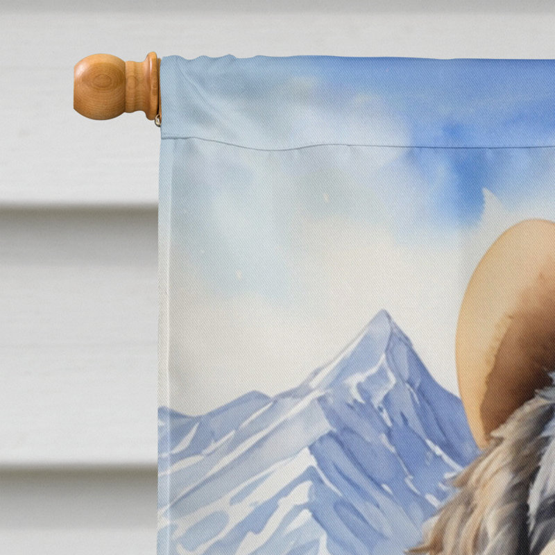 Drapeau Cowboy Welcome House, Bernedoodle