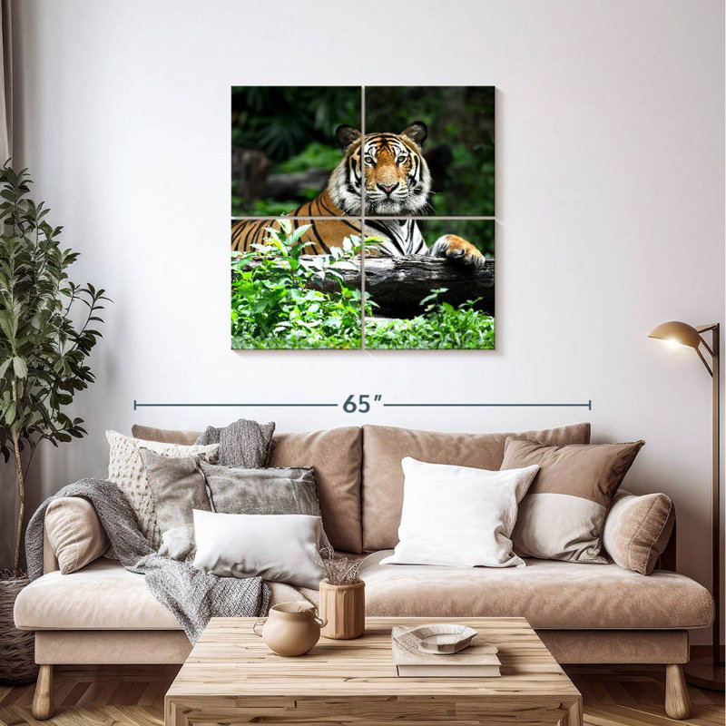 Brampt Resting Bengal Tiger