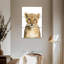 Adorable bébé lion Brampt-108639997