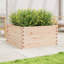 2 Wood Planter-100491928-100491949