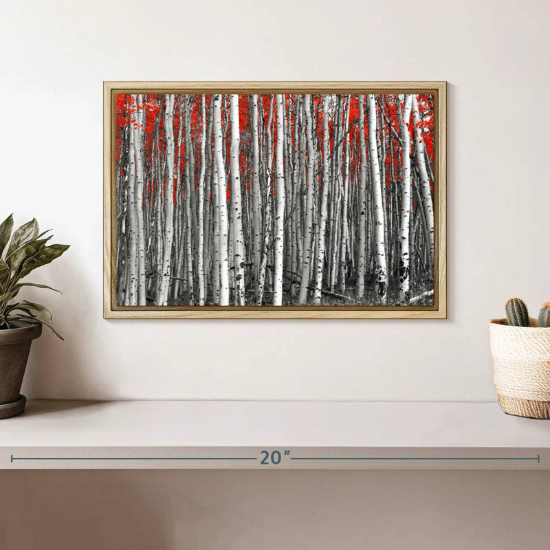 Red Birch Forest, 13" X 9", Floating Frame Natural Wood