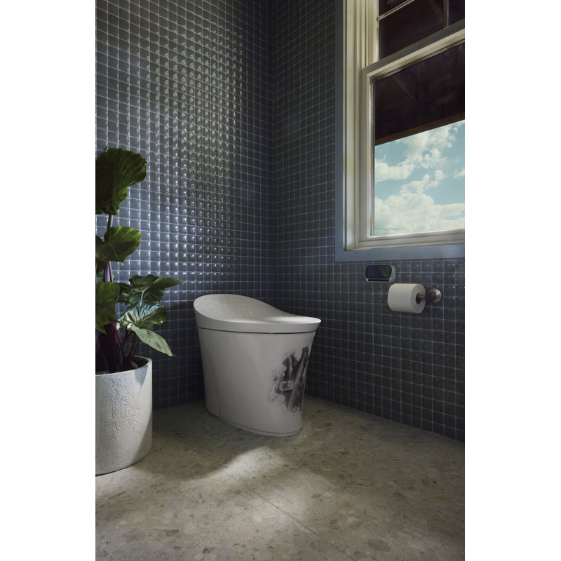 Landshapes By Daniel Arsham One-Piece Elongated Smart Toilet Dual-Flush