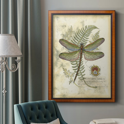 Regal Dragonfly I (PP), toile encadrée de qualité supérieure - prête à être accrochée