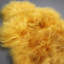 Adkins Solid Colour Sheepskin 65cm X 95cm Area Rug