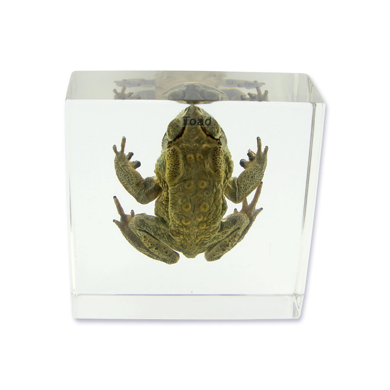 Presse-papiers Toad