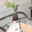 Fauteuils coulissants d'extérieur avec table basse Outsunny