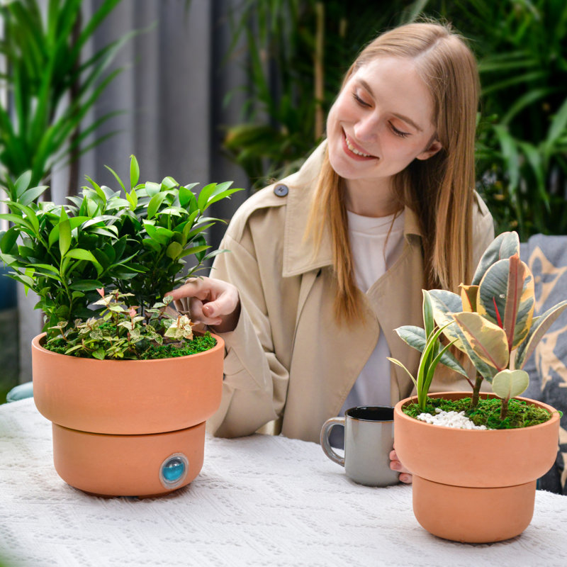 Mignon ensemble de 2 pots à plantes en forme de champignon, couleur terre cuite
