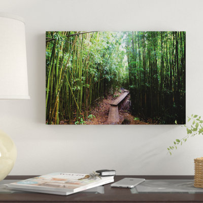 « boardwalk through bambou, pipiwai trail, hakeakala national park, kipahulu, hana road, maui, hawaii, usa ii », reproduction de photo sur toile
