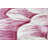 Ayalur Floral Indoor Rug-173320067