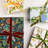Baudin Butterfly Wrapping Paper