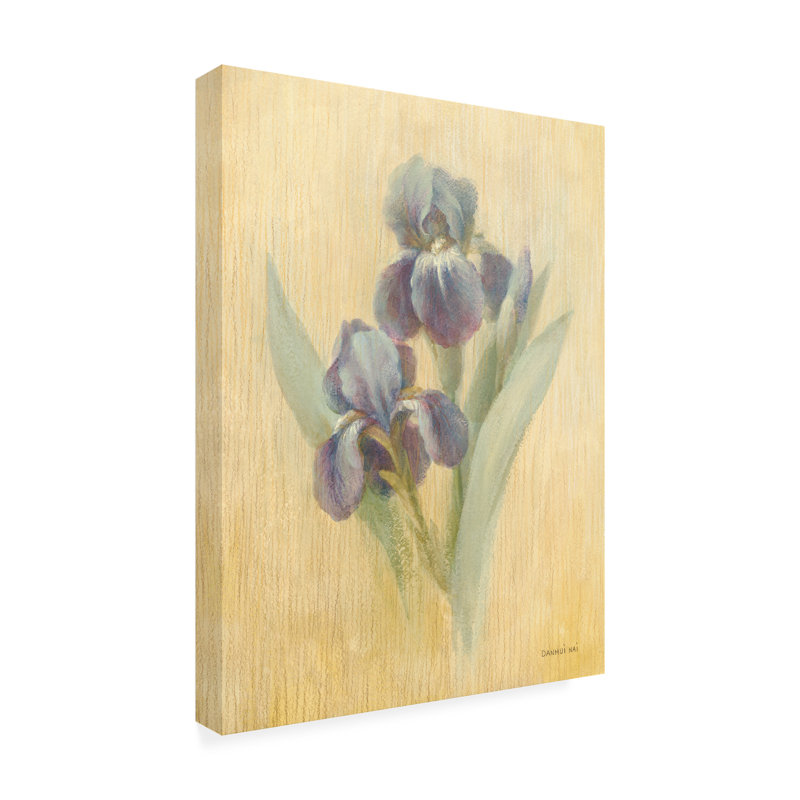 «Danhui Nai June Iris», art sur toile, H 32 po x l 24 po