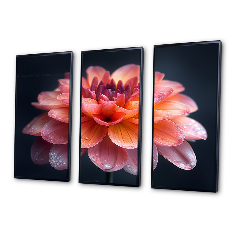 Ensemble de décorations murales roses et orange, Toile avec cadre flottant noir, H 32 po x l 48 po x P 1 po