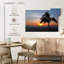 Palmier Gillard Aruba-107695613