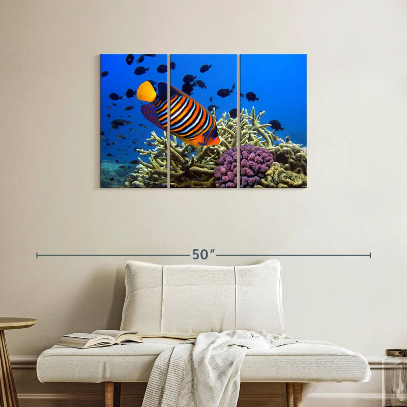 Brampt Royal Angelfish, 24" H x 38" W