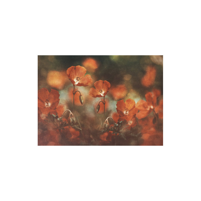 Wrapped Canvas Print, 50.8 cm H x 76.2 cm W