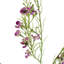Artificial Arrangement-106401580