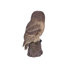 Brown Owl on branch | Handcrafted Decorative Bird Statue for Home & Garden | Premium Polyresin, Weather-Resistant Indoor/Outdoor Decor