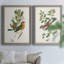 Oiseau antique, botanique et œuf sur toile encadrée, prêt à accrocher-885280178-885280179