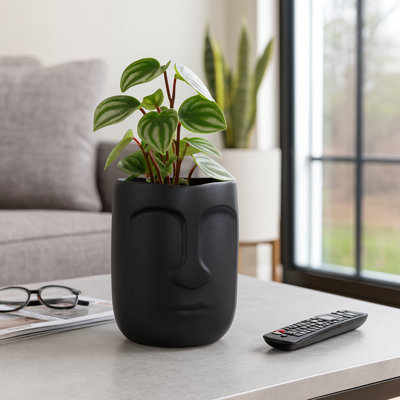 Amyanne Sculptural Ceramic Table Vase