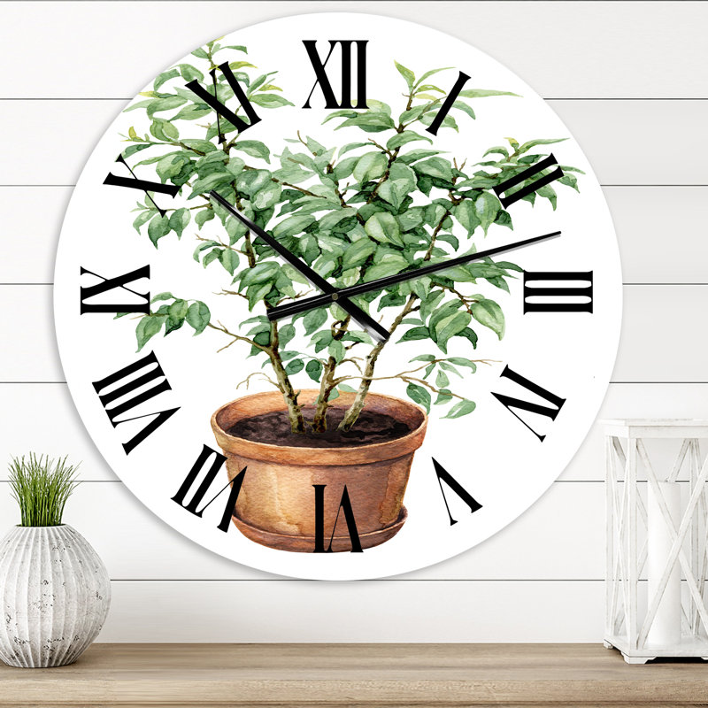 Ficus benjamina dans un pot de fleurs en argile - horloge murale traditionnelle, Moyen