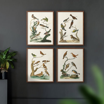 Ensemble de 4 reproductions encadrées "Vivacialy changer II"