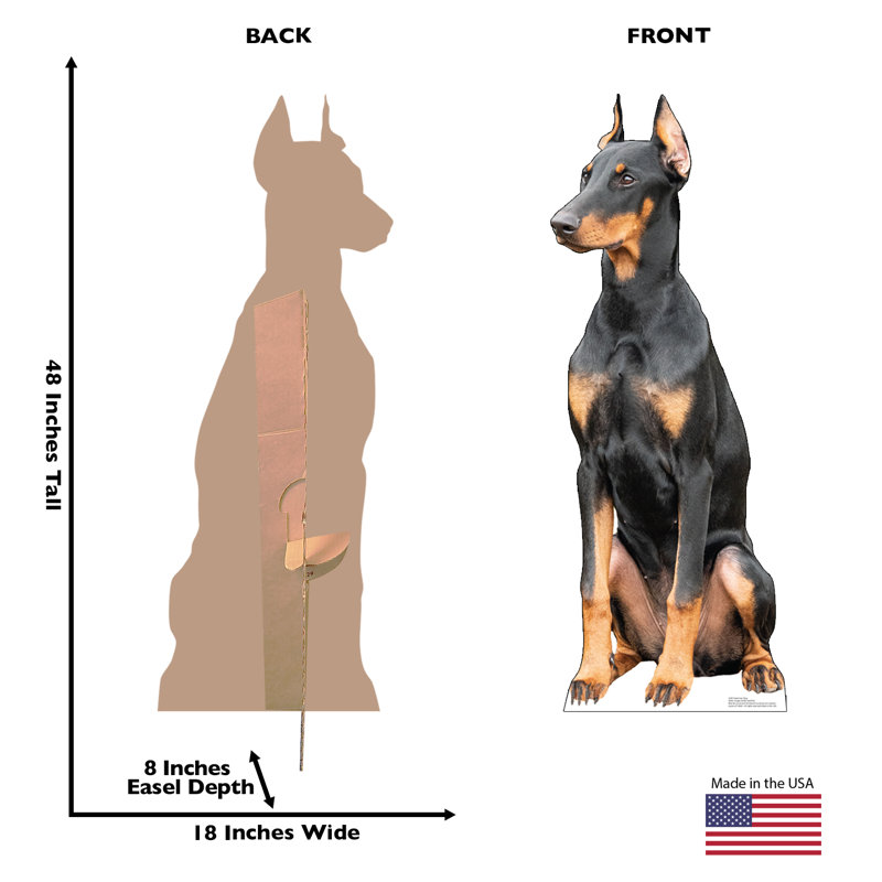 Doberman Dog