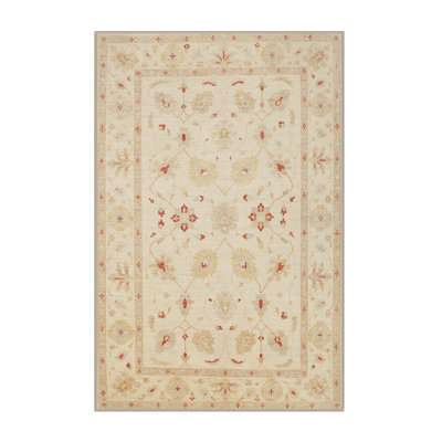 Oriental Indoor Rug