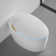 Smart Toilet with Bidet Built In, Intelligent One Piece Toilet , Auto Open/Close Seat Foot Sensor
