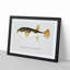Illustration of a Pufferfish by F.E. Clarke - Picture Frame Graphic Art Print-55579696-55579697