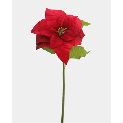 White Poinsettia 24”