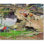 Carreau de peinture murale 48 po x 40 po 8 po x 8 po