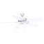America Downrod Ceiling Fan-183824723