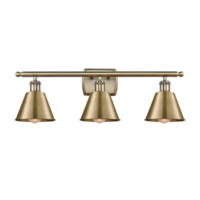 3 - Light Dimmable Vanity Light
