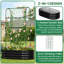 Lit de jardin surélevé galvanisé avec treillis arqué 71 po pour plantes grimpantes-544257400
