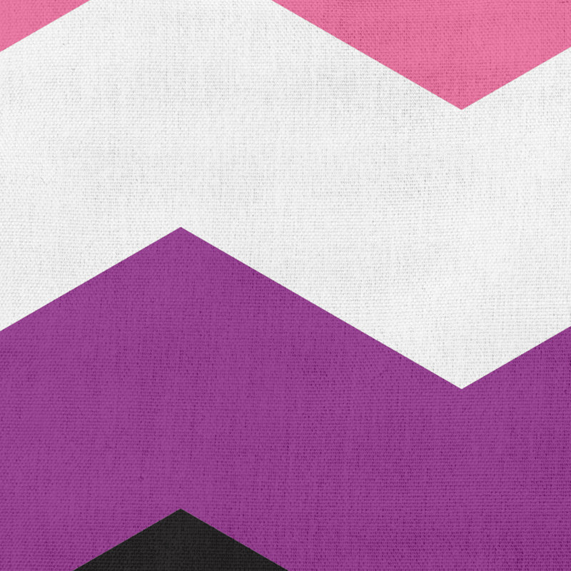 Coussin décoratif à chevrons Genrefluid, H 26 po x l 26 po, Mauve